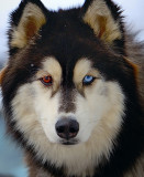 D3E_3854ChinaPeakCropA1.jpg