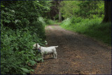 13th May 2011
