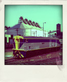 44 Poladroid