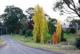 Colourful Newbridge