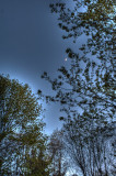 hdr109.tif.jpg