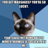 chronic illness cat massages are not nice .jpg
