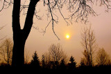 Fall Season 2011