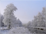 Olensbroek in winterkleed