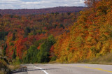 Highway in Fall Algonquin Provincial Park