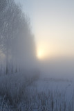 kampereiland 4-02-2012 5a.jpg