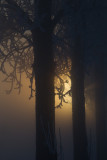 kampereiland 4-02-2012.jpg