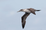 jvg biskay 24-08-2012 5.jpg
