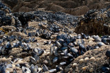 Bretagna & Normandia 2011 - 071.jpg