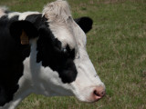 Bretagna & Normandia 2011 - 084.jpg
