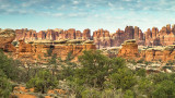 Needles District