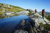DSC00404_small.jpg
