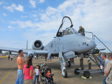 Fairchild Republic A-10C Thuncderbolt (Warthawg)