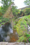011_9913Killarney_RingofKerry.jpg