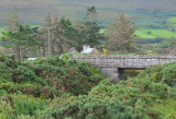 011_9961Killarney_RingofKerry.jpg