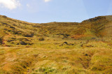 011_10090Killarney_RingofKerry.jpg
