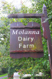 011_0283Molanna.jpg