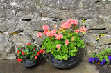 011_0376Adare.jpg
