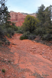 AZ_2050b.jpg