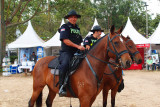 Parque Metropolitan Sabana Policia y Caballos