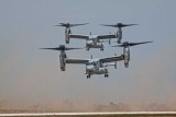 Ospreys Landing.jpg