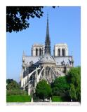 Notre Dame de Paris. 6