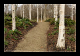 Parc de Bercy