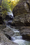 Watkins Glen State Park