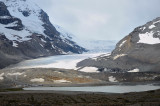 Athabasca Glacier Jasper NP