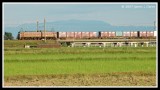 Freight Train