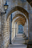 Winchester Cathedral