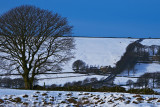 2012_0128_SE31346