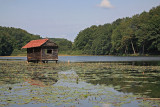 Lake Negova Negovsko jezero_MG_1041-1.jpg