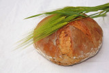 Bread kruh_MG_9314-11.jpg