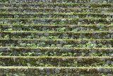 Stairs stopnice_MG_5864-11.jpg