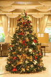 Christmas tree boino drevo_MG_8358-11.jpg