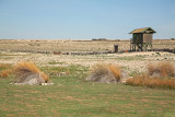 Veliko Kolansko blato wetland_MG_47-11.jpg