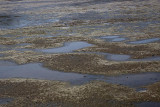 Empty pond prazen ribnik_MG_1612-1.jpg