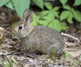 20110514_3402.jpg