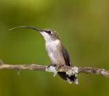 20110903_6509.jpg