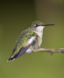 20110903_6502.jpg