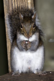 Good grief!! Who knew they could be so dainty!