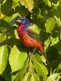 20120427_2934.jpg