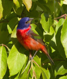 20120427_2942.jpg