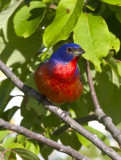 20120427_2959.jpg