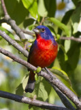 20120427_2964.jpg