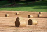 Straw bales