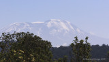 Another View of Mount Kilimanjaro