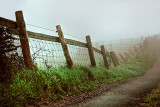 Fence in the fog, Eggardon Hill