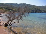 La  Plage du palud  Port-Cros